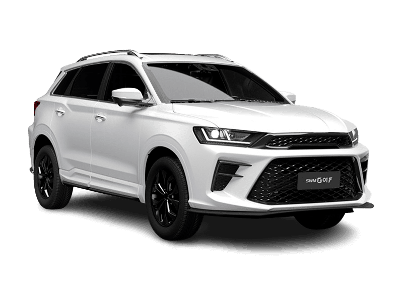 SWM G01F по цене от 1 029 000 рублей